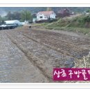 김용수농장 이미지