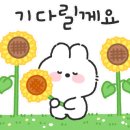 하단동137 이미지