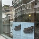따팡 | [용산] 바위위 바이 따팡: 용산 신상 빵집 가오픈 내돈내산 후기