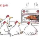 카페.163