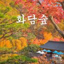 주가푸드 | 화담숲 단풍시기 이번 주가 적기! 실시간 방문 후기