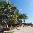 와이키키 이미지