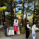 예그리나 이미지