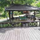 사과나무부동산중개사무소 이미지