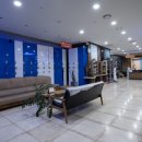 킹덤스포렉스 이미지