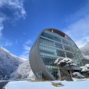 뮤지엄 스테이 이미지