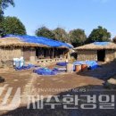 초대1리 이미지