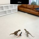 한숲로33번길 이미지