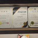 반냥트리 이미지