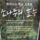 소나무숲카페