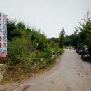 가락골 농장 이미지