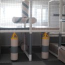 비토키즈풀빌라 이미지