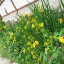 한옥별장 이미지