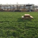 초정목장 이미지