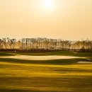 솔라시도 컨트리클럽 이미지