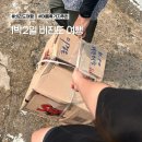 윤슬 민박 | 통영 비진도 숙소 추천 행복민박 내돈내산