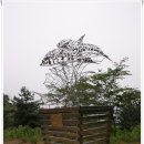 솔길농장 | [20120528]녹양역에서 홍복저수지 거쳐 한강봉에 올라 크라운제과임도 따라 부곡리까지 걷기-4부