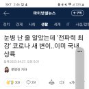 전파력 최강 코로나 새 변이 이미 국내 상률 이미지