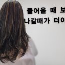 닛폰헤어1호점