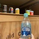 반갑다 창문밖 고양이 이미지