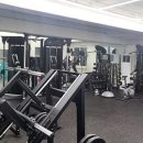 Hoya Gym 이미지