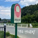 초록농부 영농조합법인 | 경주 중국집, 직접 농사지은 밀과 콩으로 만든 짜장면이 유명한 성지콩밭 솔직후기