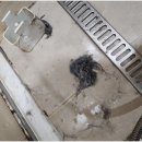 삼동로40번길 이미지