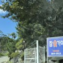 숲을 그리다 이미지