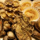 무한조개따조 이미지