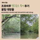 왕새농장부화장 | 조호바루 맹그로브 투어 후기ㅣ꿀팁 대방출