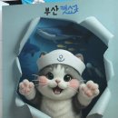 벡스코 동물병원 | 2025 부산 벡스코 캣쇼 후기 (집사들 모여!)