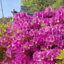 대승이네 이미지