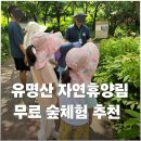 따, 숲 | [가평] 유명산 자연휴양림 아이와 체험ㅣ무료 숲해설, 목공체험 후기