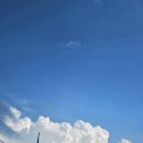 하늘멍가 이미지