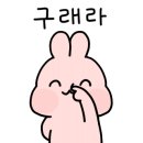 나무다움