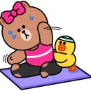 장보는강아지와고양이춘천