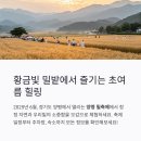 오피러스펜션 | 양평 밀축제 일정, 지평역 전용주차장, 양평 숙소 안내