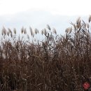 용머리고을 이미지