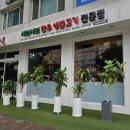 이대성5호 이미지