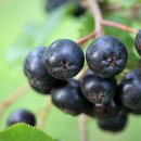 북구종로약국 이미지