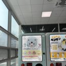 실용적인 압화 에코백 | 헬로키티 에코백 가챠 실제 후기 + 빵 담는 가챠까지 싹 정리 | 귀엽고 실용적인 에코백 가챠 추천