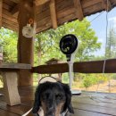 강동로-37 이미지