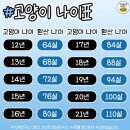 천명자동차정비 | 2023년 9월의 일상