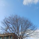 신당리 마을회관 이미지