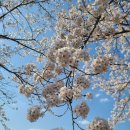 강변길 북천 이미지