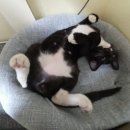 뽀솜뽀솜 이미지