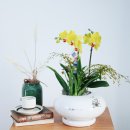 화이트블럭 이미지