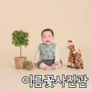 배곧 사진관 시흥 아기 200일 기념 촬영 이름꽃사진관 세번째 후기