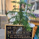 청년감자탕순대국 양주점
