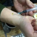 싱싱장어 이미지